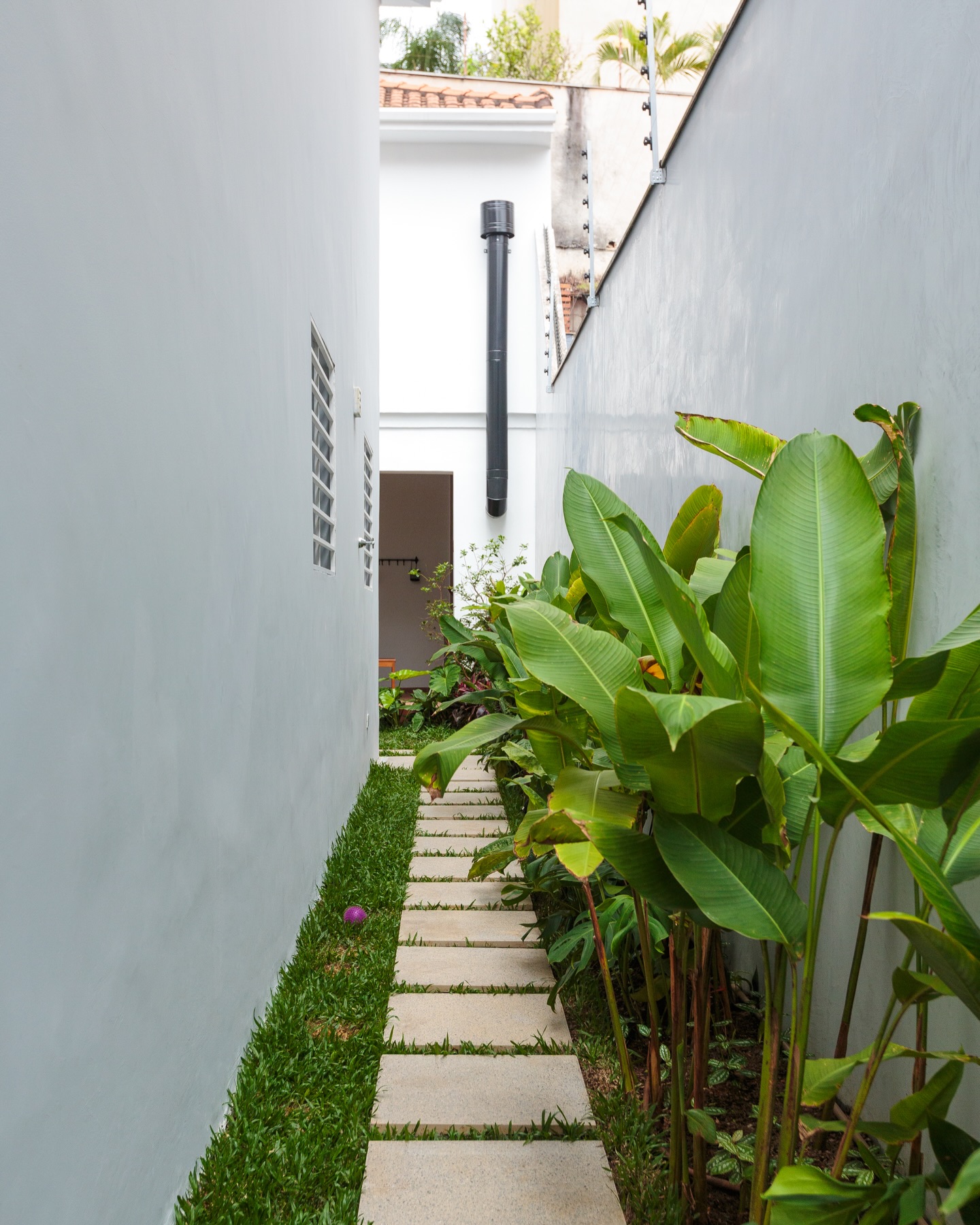 Corredor externo estreito com caminho de placas de concreto, gramado lateral e plantas tropicais ao longo da parede.