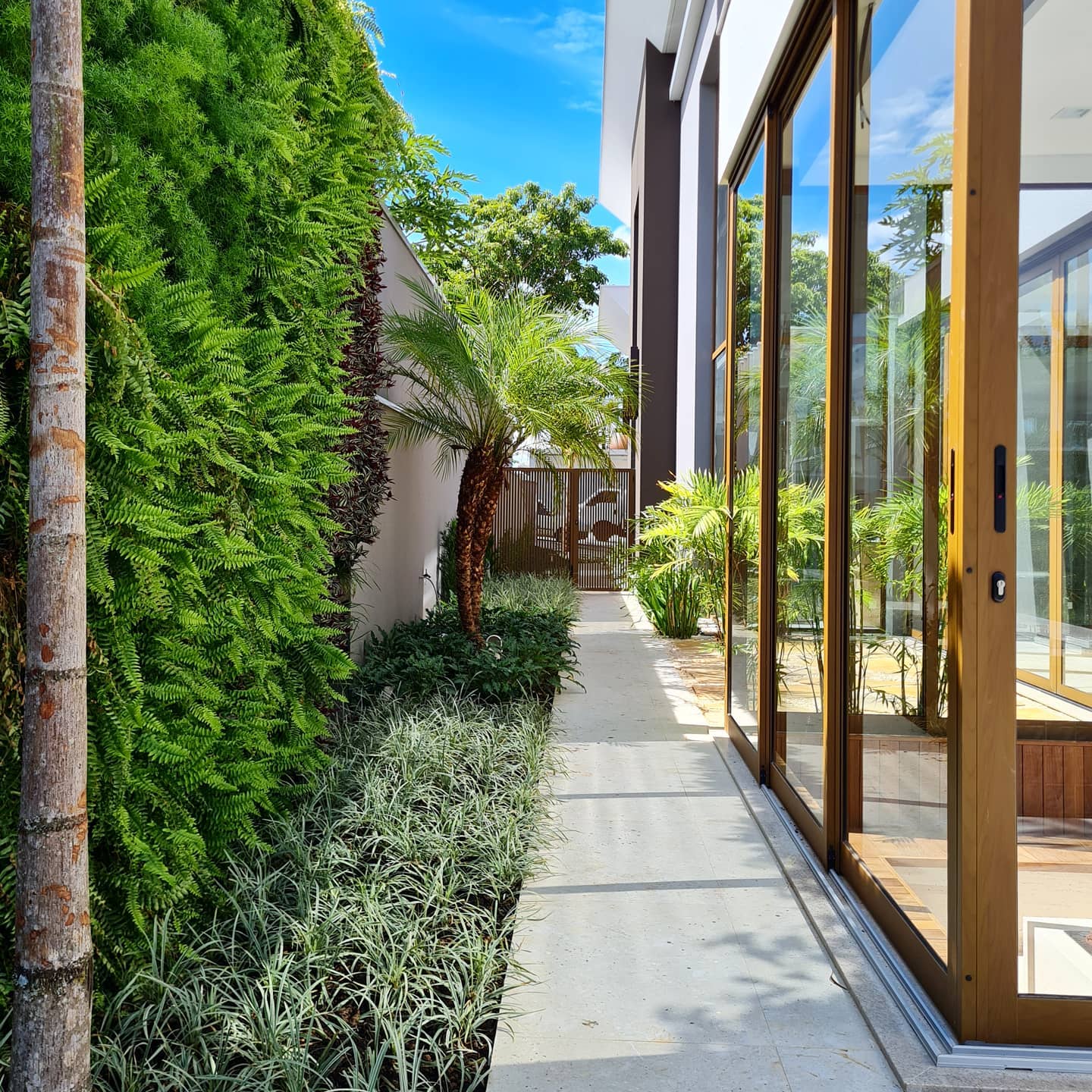 Corredor externo com jardim vertical cobrindo a parede e caminho estreito ao longo do percurso.