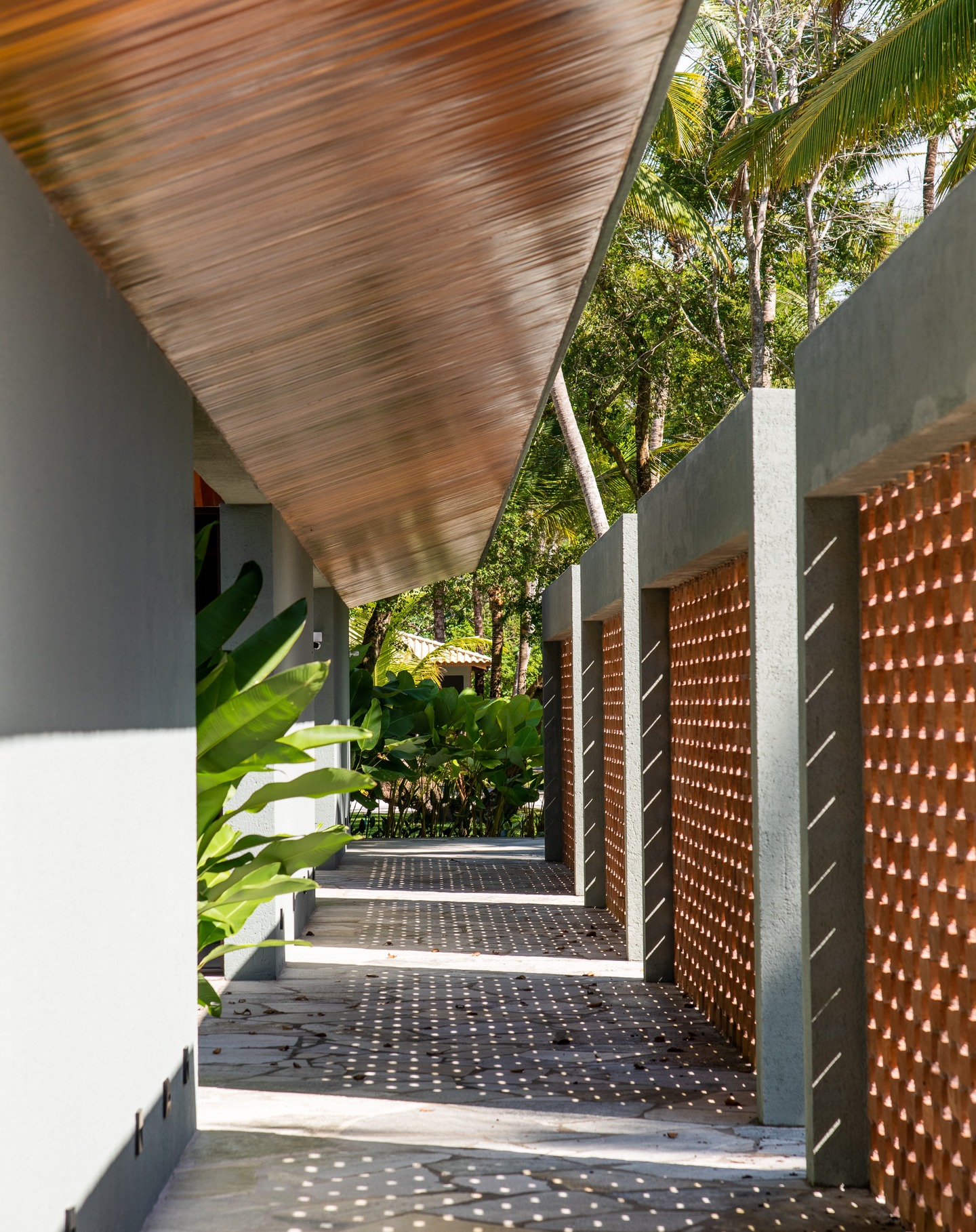 Corredor externo com paredes vazadas em cobogó que projetam luz e sombra no piso, cercado por plantas tropicais.