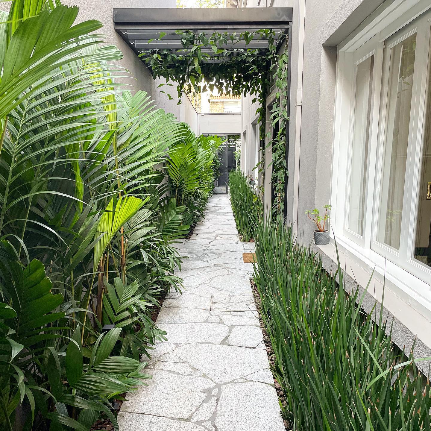 Corredor externo com caminho de pedras irregulares cercado por plantas tropicais e vegetação densa.