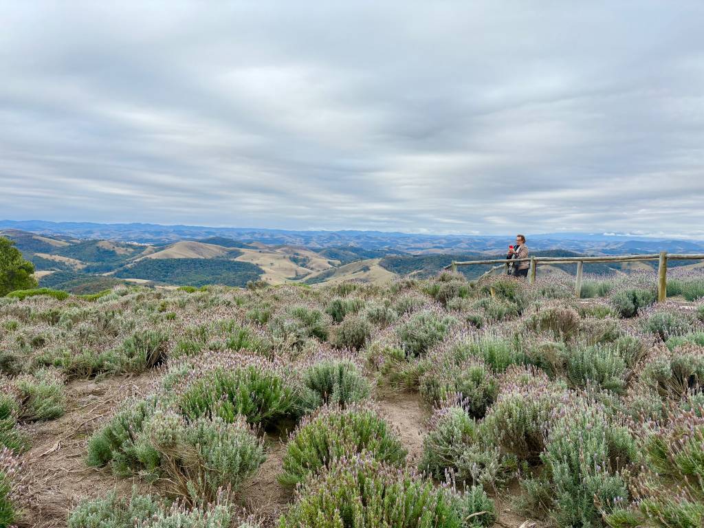 O Lavandário, Cunha, Serra da Bocaina, São Paulo