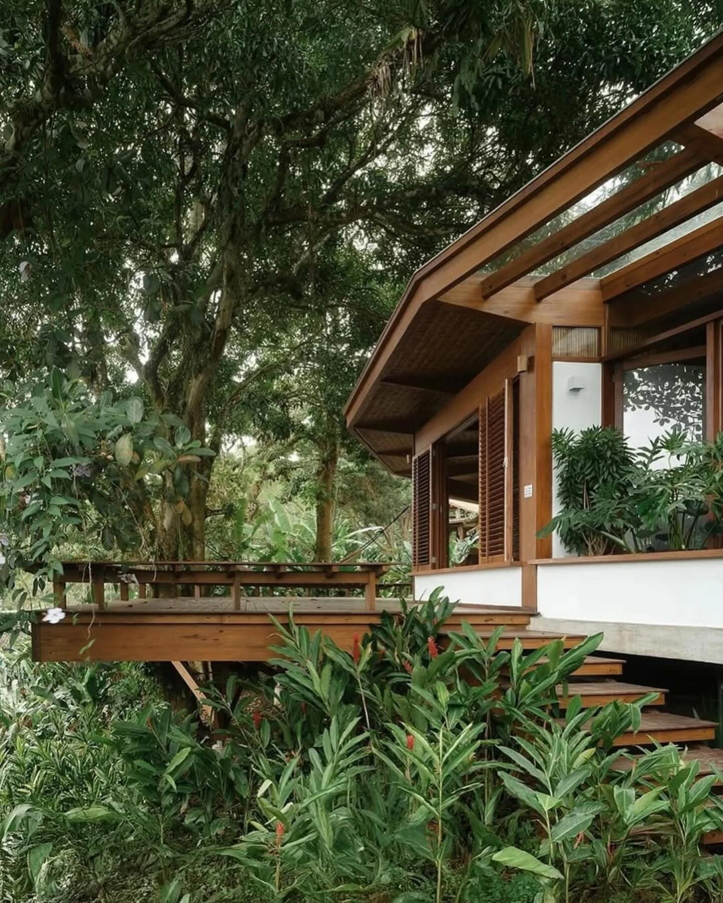 casa semicircular em madeira integrada à mata em angra dos reis evidenciando o formato curvo da arquitetura