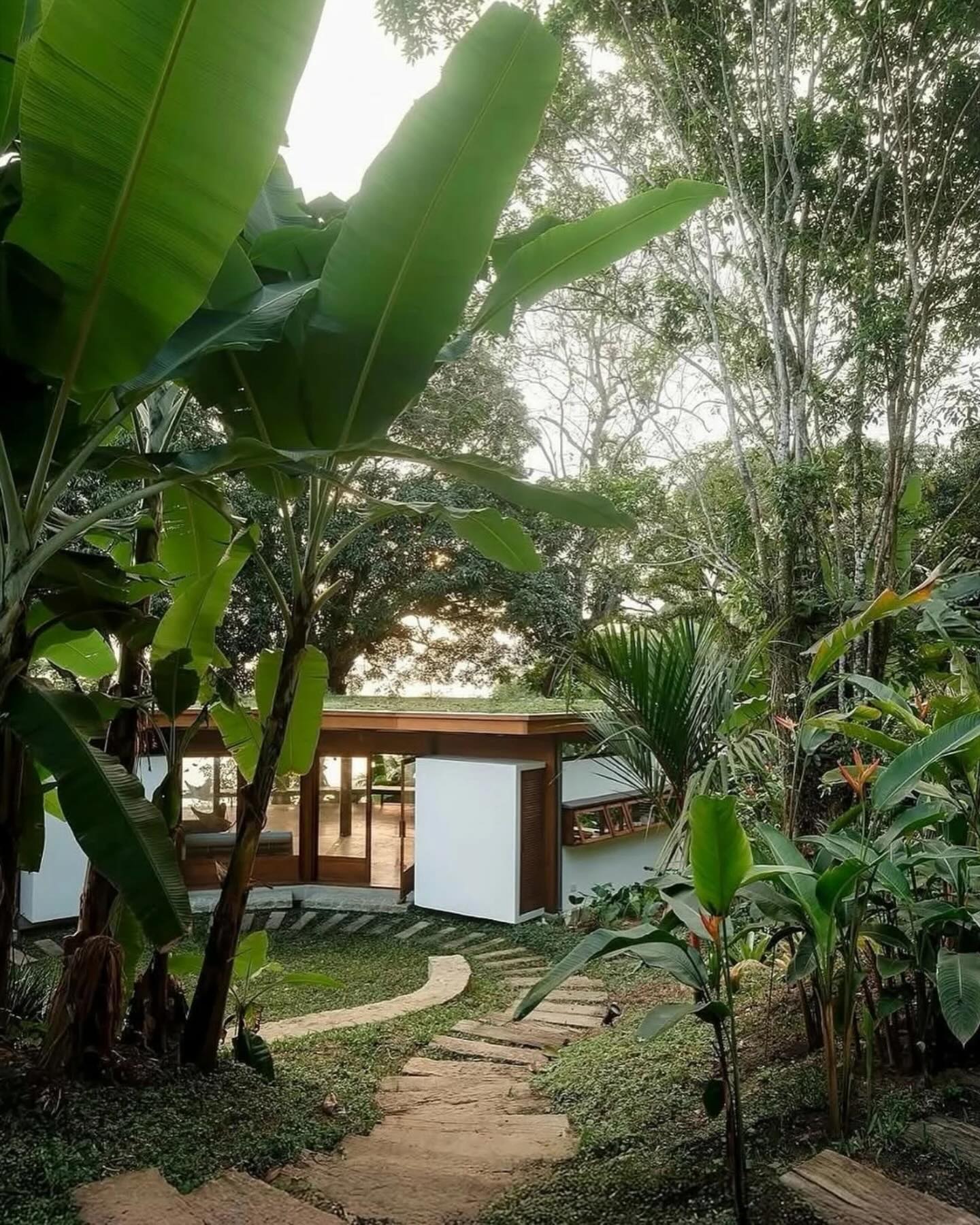casa da figueira em terreno inclinado com caminhos de dormentes em meio à vegetação em angra dos reis