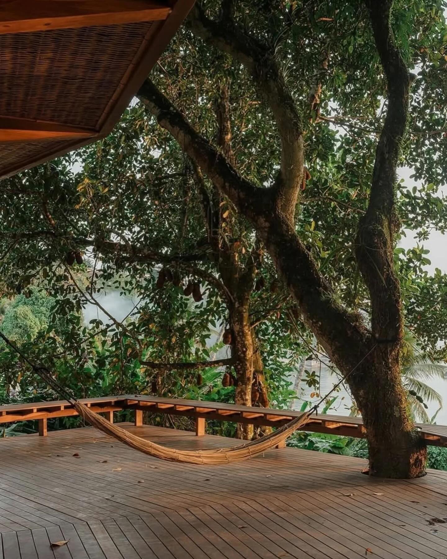 deck de madeira com rede entre árvores em casa integrada à mata em angra dos reis