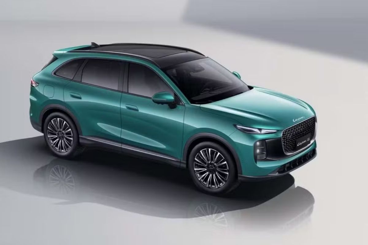 L8 -  Foto: Divulgação/Lepas