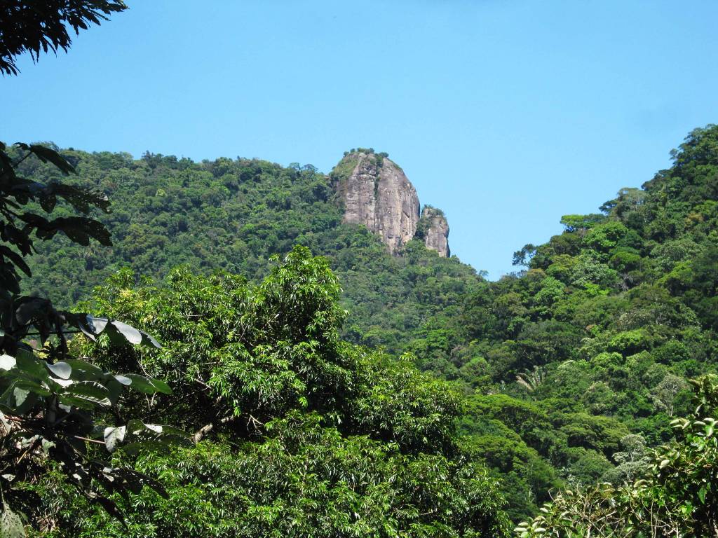 pico-tijuca-mirim