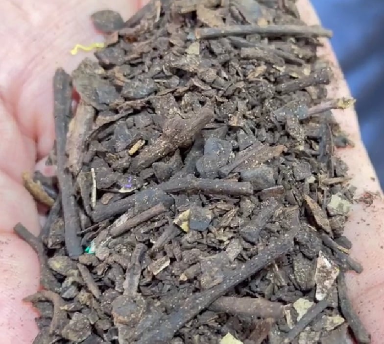 compostagem-c Compostagem nas escolas de Lucas do Rio Verde transforma resíduos em adubo de alta qualidade