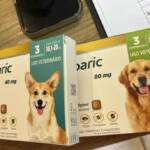 WhatsApp Image 2026 04 13 at 15.07.09