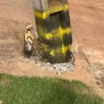 WhatsApp Image 2026 04 15 at 14.24.59