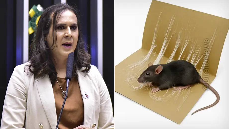 deputada federal duda salabert quer fim fita que mata ratos crueldade