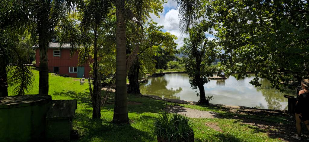 viniciola casa seganfredo gramado