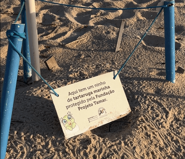 Pontos de desova das tartarugas são sinalizados por placas e estacas ao longo da faixa de areia