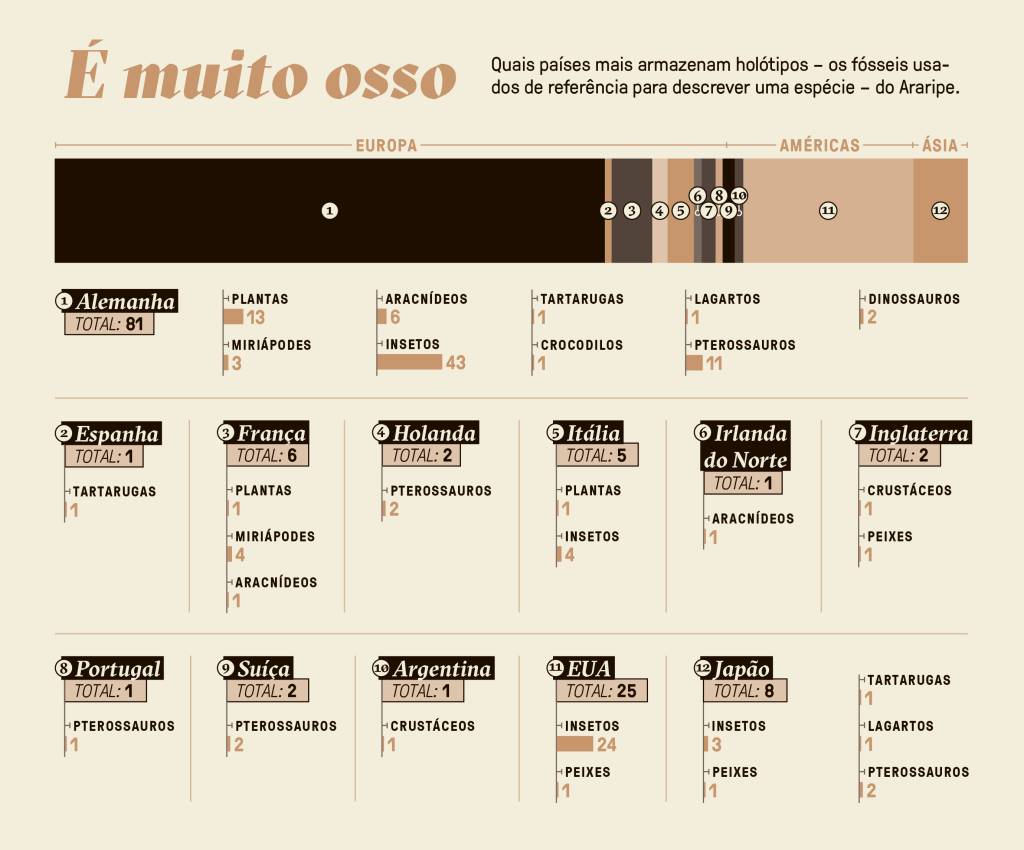 Infográfico dos países que mais armazenam fósseis.