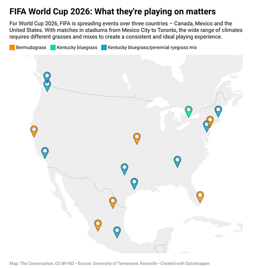 Gráfico dos campos de futebol nos Estados Unidos.