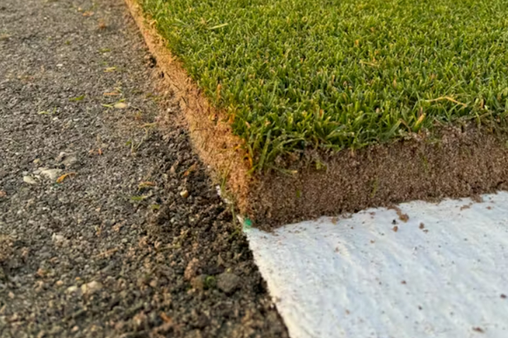 Fotografia do gramado cultivado em plástico permite que as raízes se espalhem e permaneçam intactas.