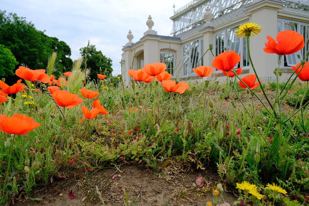 kew-gardens-flores