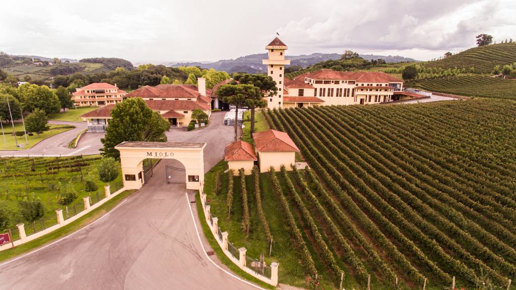 Miolo, Bento Gonçalves, Rio Grande do Sul