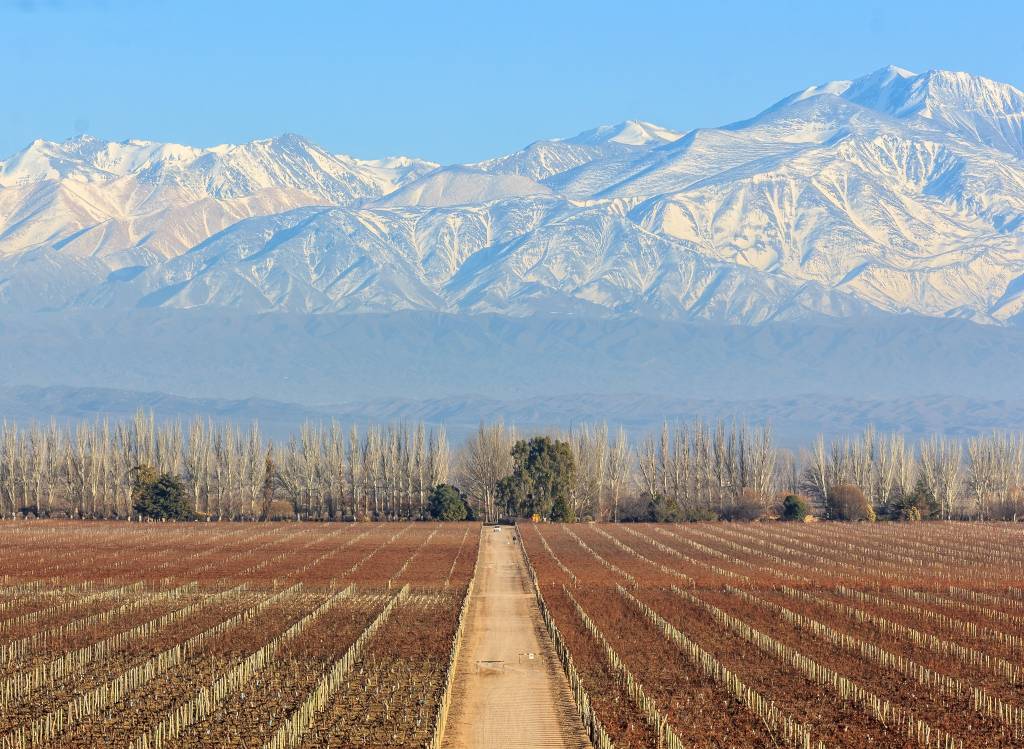 vinícola catena zapata, argentina