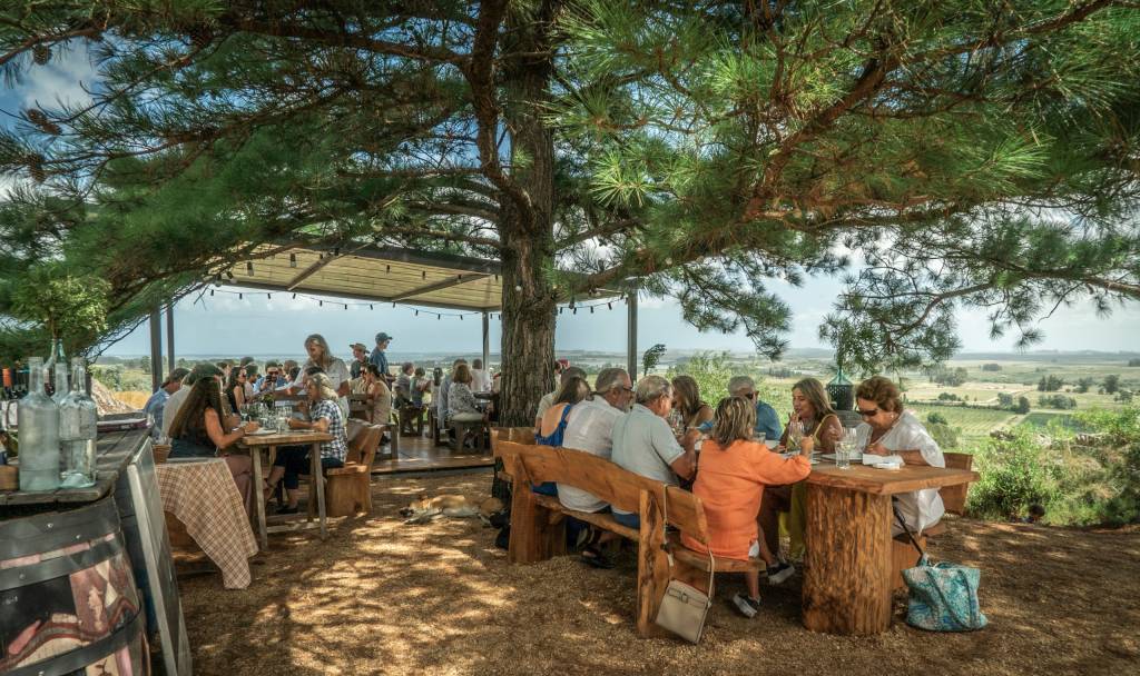 Alto de la Ballena, Punta del Este, Uruguai