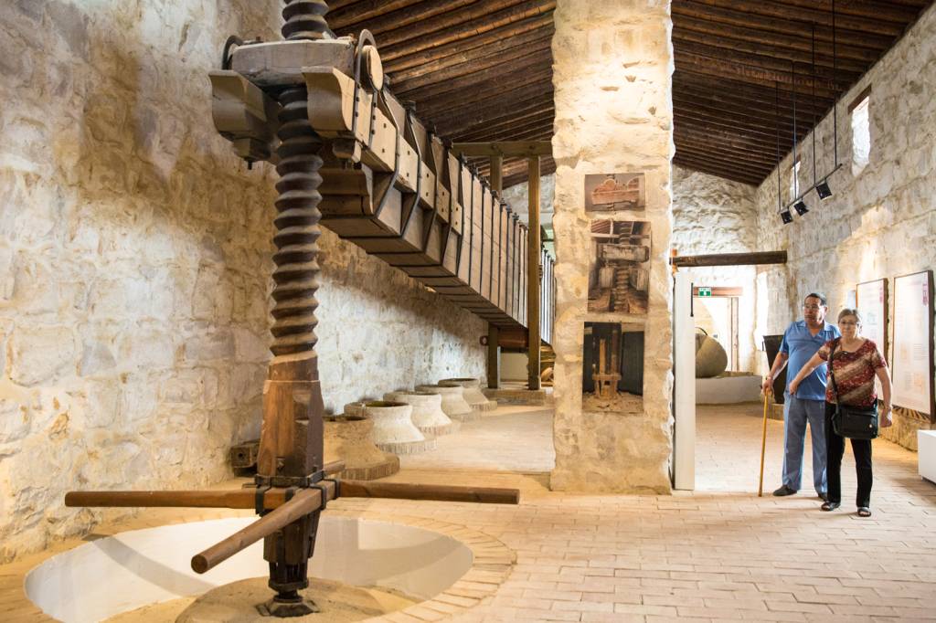museo-olivo