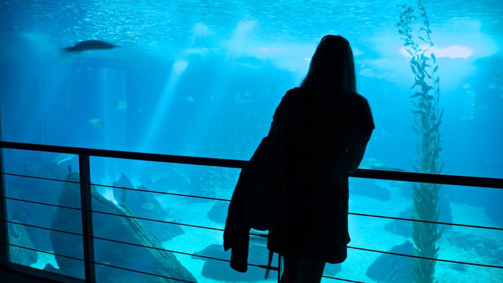 oceanario-lisboa-interior