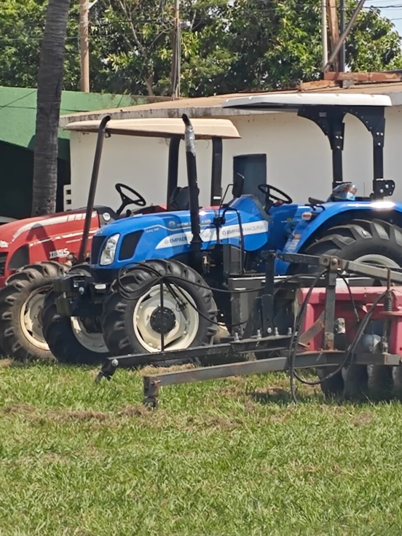 Arquivo