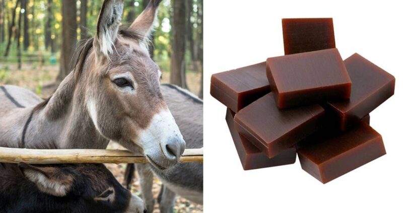 2026