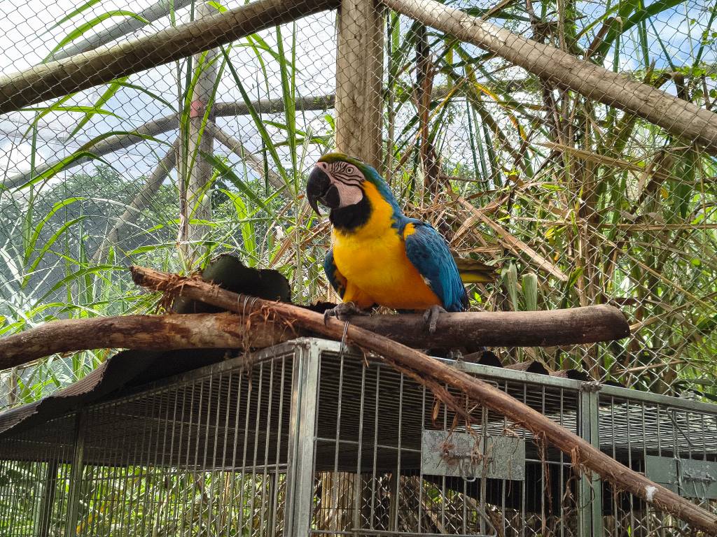 Parque Arvorar, Aquiraz, Ceará