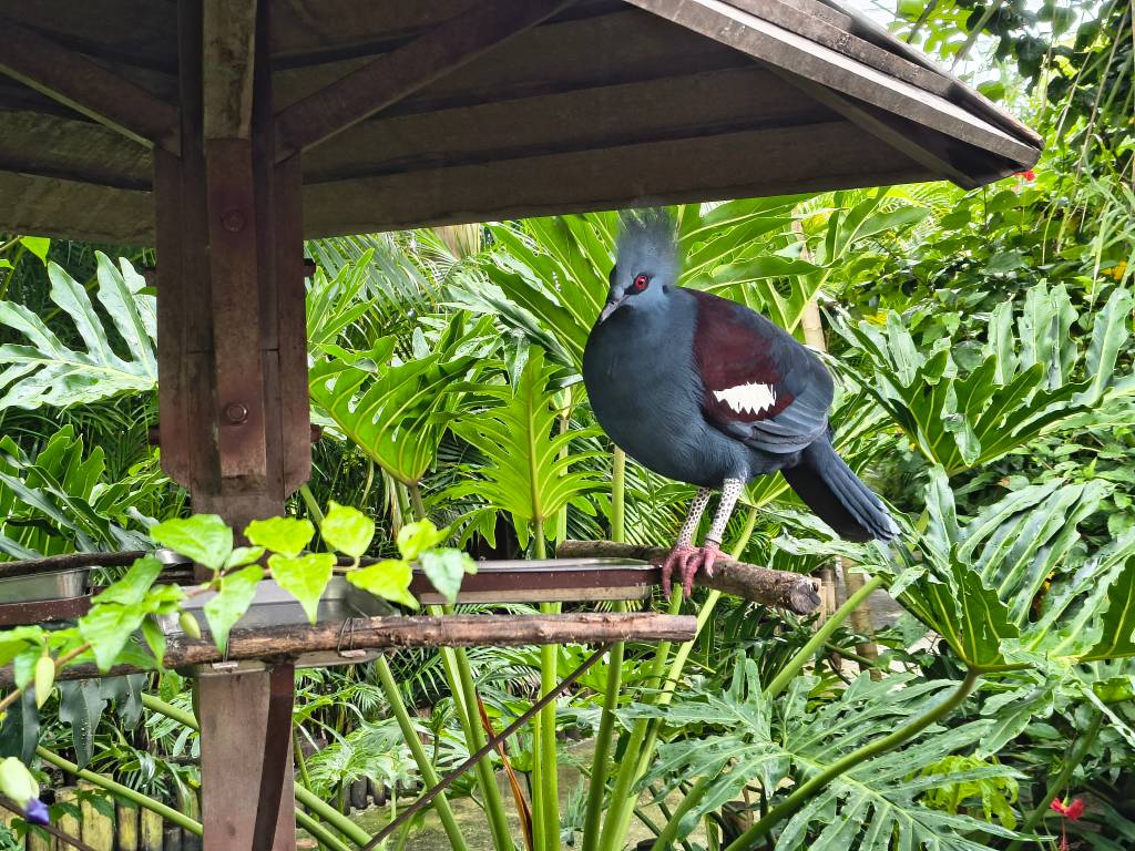 Parque Arvorar, Aquiraz, Ceará