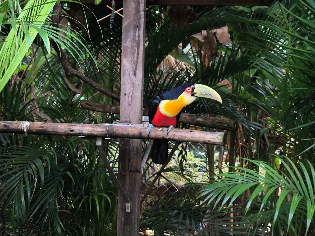 Parque Arvorar, Aquiraz, Ceará