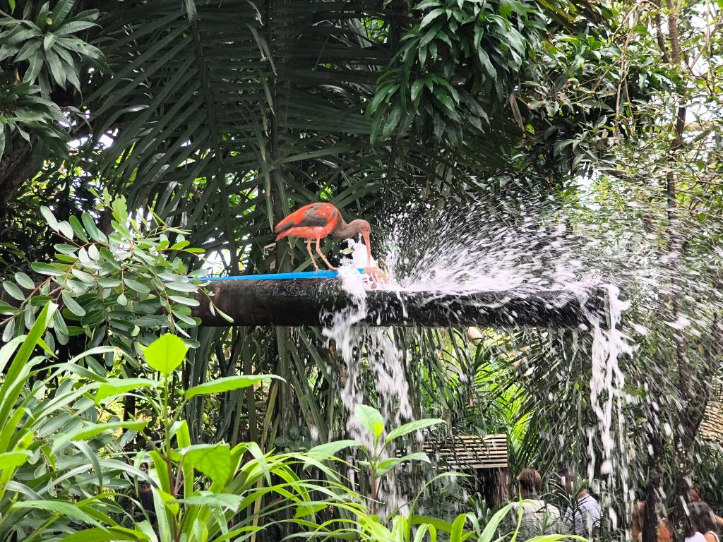 Parque Arvorar, Aquiraz, Ceará
