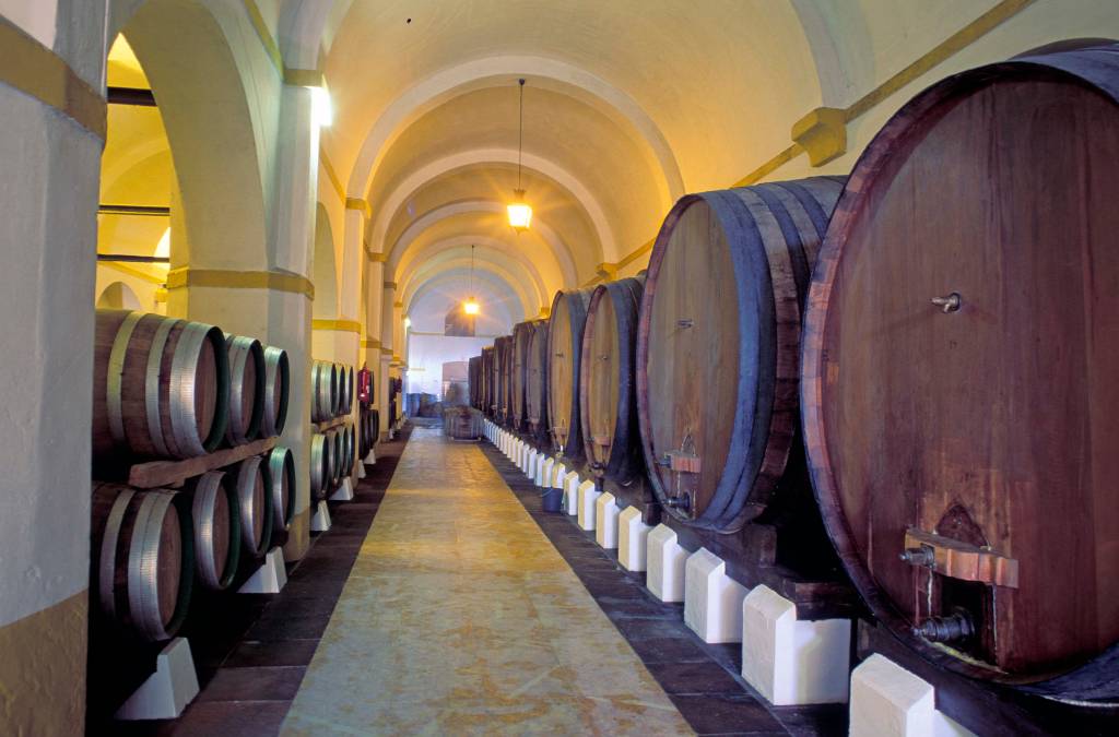Adega da Cartuxa Evora Alentejo