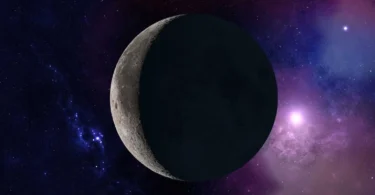 2026
