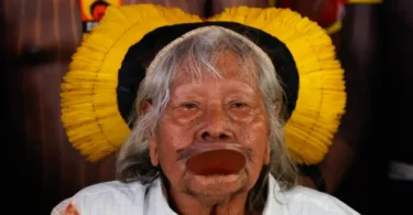 2026