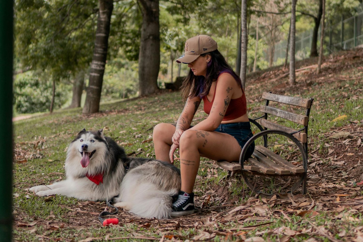 orientacao-comportamental-ganha-espaco-no-cuidado-com-pets-pexels-1 Orientação comportamental ganha espaço no cuidado com pets Pexels (1)