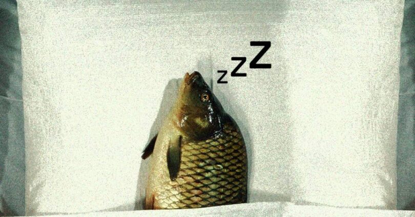 2026