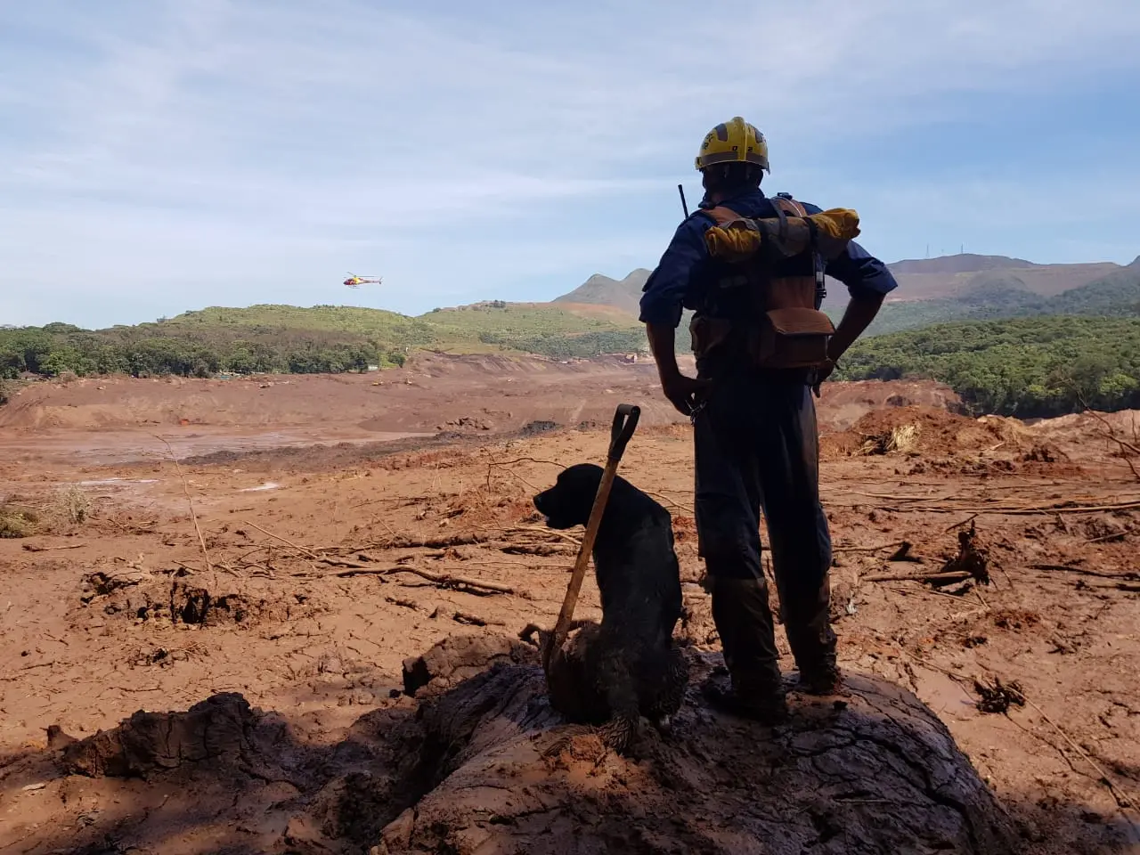 Cães de resgate do Corpo de Bombeiros de SC