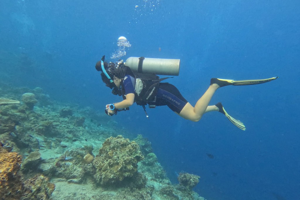 Mulher mergulhadora flutuando sobre um recife de coral, vestindo roupa de mergulho preta e azul, cilindro de oxigênio e nadadeiras amarelas, bolhas subindo à superfície