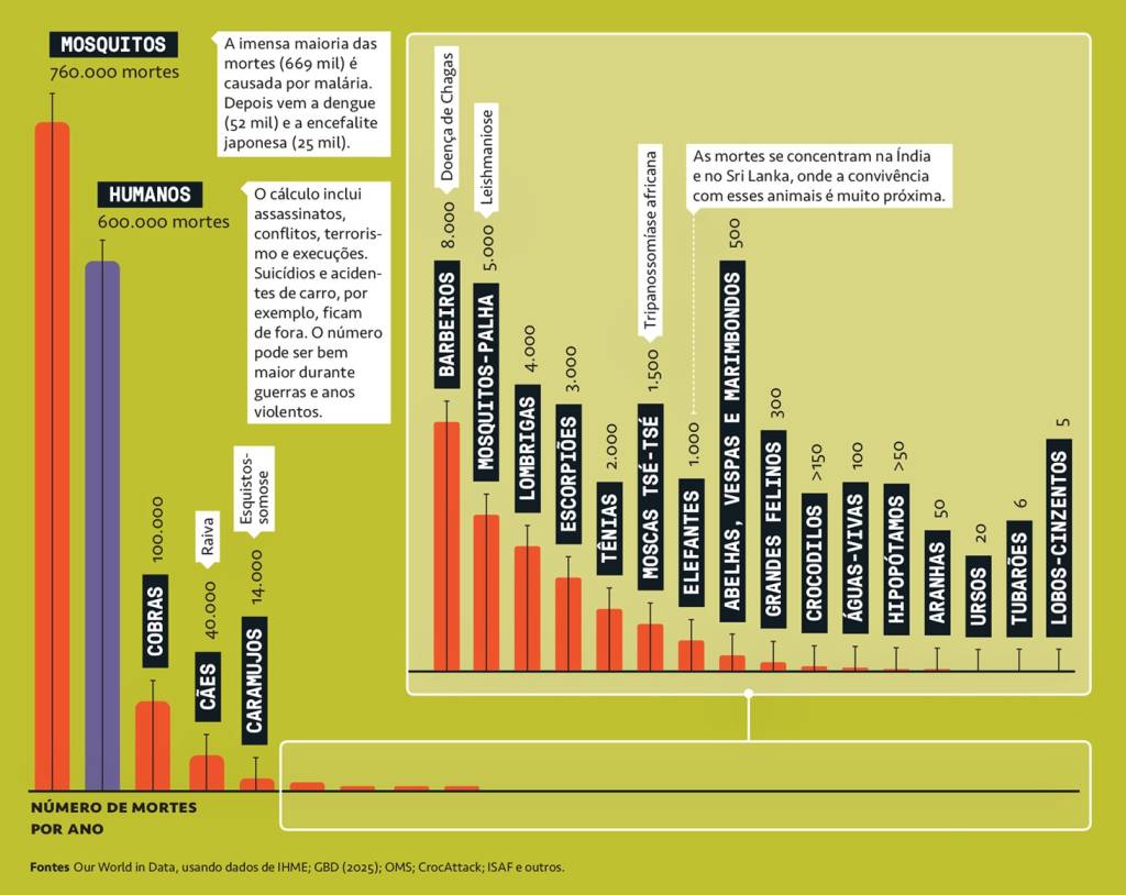 Gráfico, em fundo verde limão, com dados sobre animais que mais matam seres humanos.
