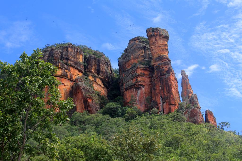 serra-do-roncador