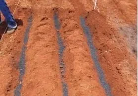 2026