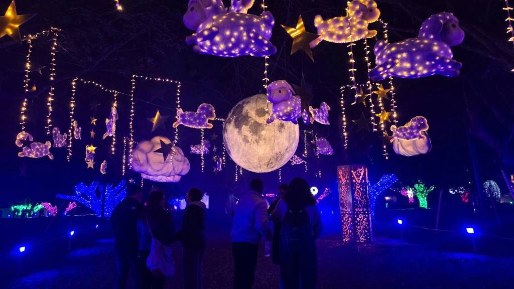 Pessoas observam uma instalação noturna com uma lua cheia gigante, ovelhas e estrelas iluminadas por luzes roxas e amarelas penduradas no alto. O chão escuro é pontuado por luzes azuis, e árvores ao fundo brilham em azul, verde e rosa, criando um ambiente mágico