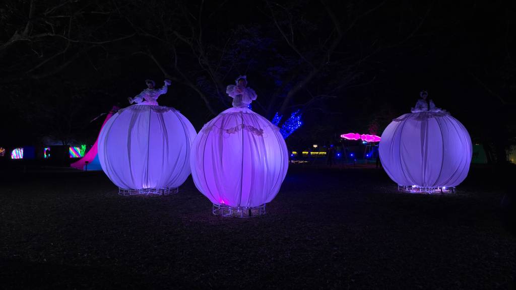 Três esculturas iluminadas em formato de bonecas com saias volumosas e roxas, em um gramado escuro. Ao fundo, árvores e outras instalações coloridas com luzes neon