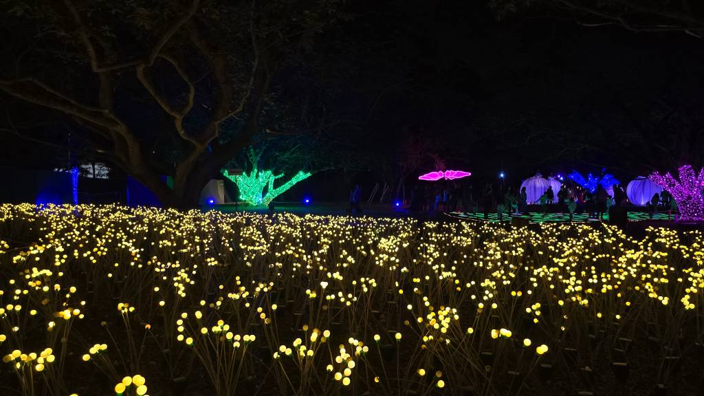 Campo noturno com milhares de pequenas luzes amarelas no primeiro plano, e ao fundo, árvores e estruturas iluminadas em verde, roxo e azul, com silhuetas de pessoas caminhando