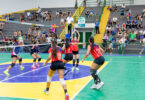 Arquivo