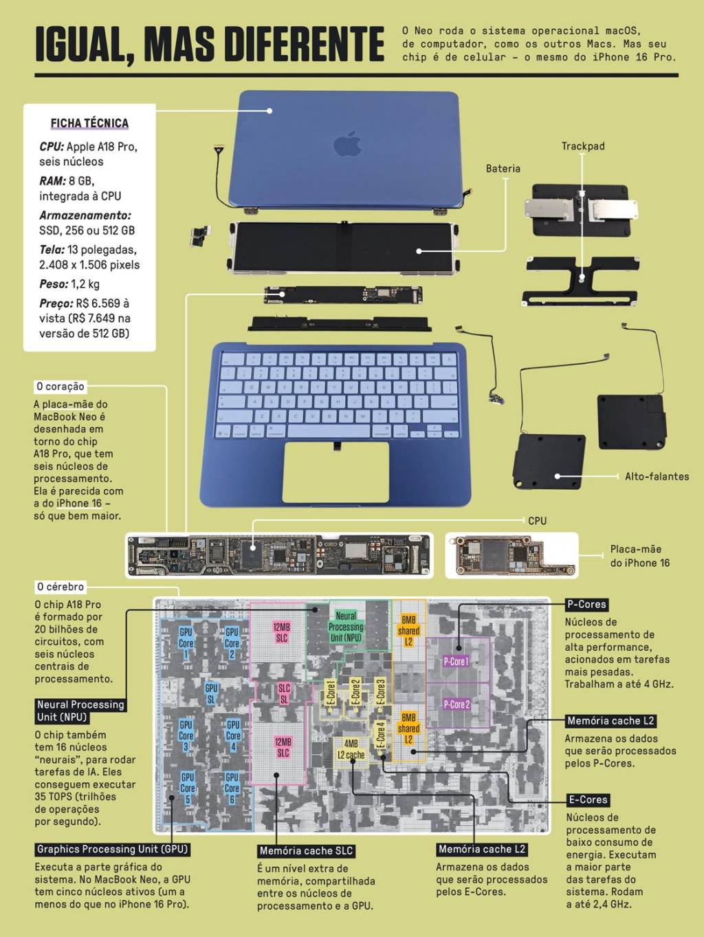 Infográfico detalhado do MacBook Neo desmontado, mostrando seus componentes internos como bateria, trackpad, alto-falantes, CPU e placa-mãe do iPhone 16. A ficha técnica apresenta CPU Apple A18 Pro, 8GB RAM, SSD de 256 ou 512GB, tela de 13 polegadas, peso de 1,2kg e preço. O diagrama do chip A18 Pro destaca P-Cores, E-Cores, GPU, NPU e memórias cache SLC e L2, com descrições de suas funções e especificações técnicas.