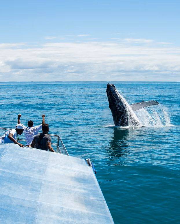 Três homens em um barco observam uma baleia jubarte saltando da água, criando um grande respingo. O céu está azul com nuvens esparsas