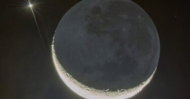 2026