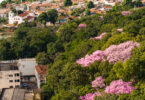 Arquivo