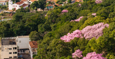 Arquivo